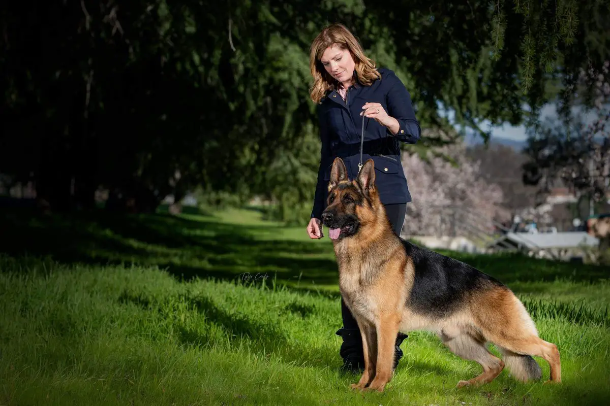 GCHS, CH, Woodside's Maxum