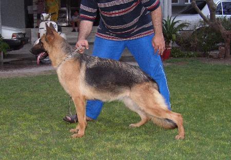 VA(PK) Orfano von Bad-Boll