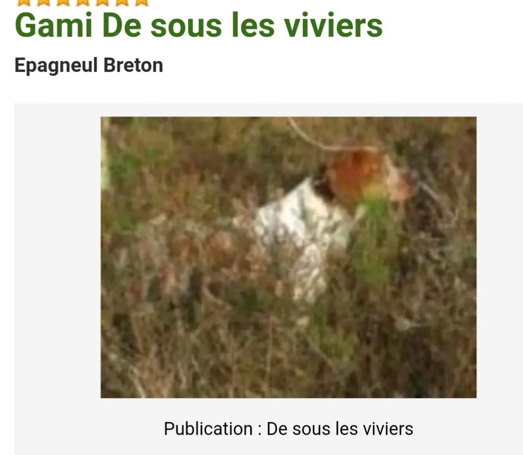 GAMI de sous les Viviers