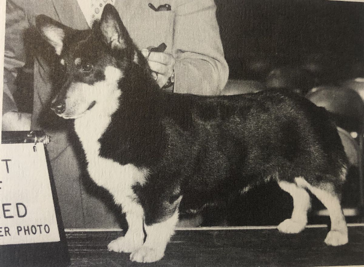 CH Kingpin Of Pemrrym