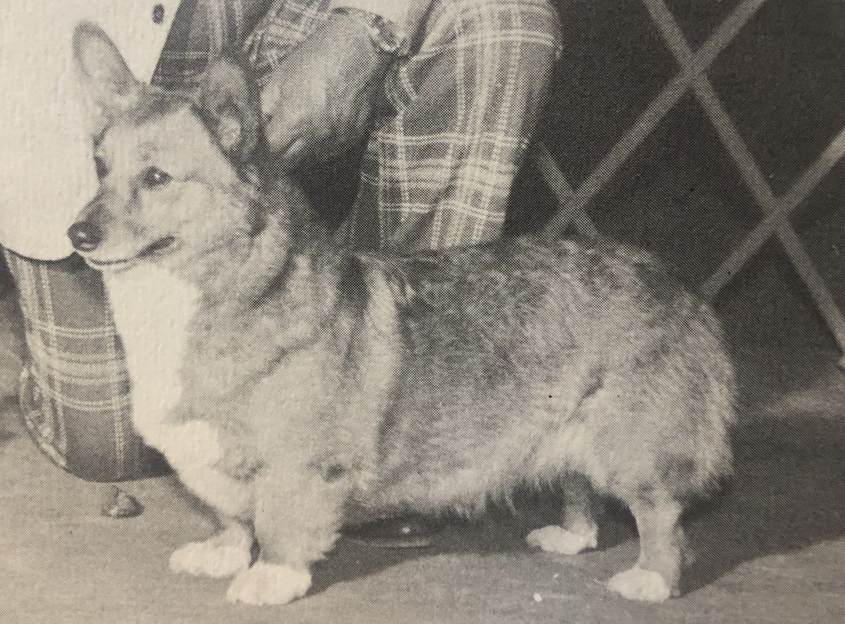 CH Leetwood Illustration