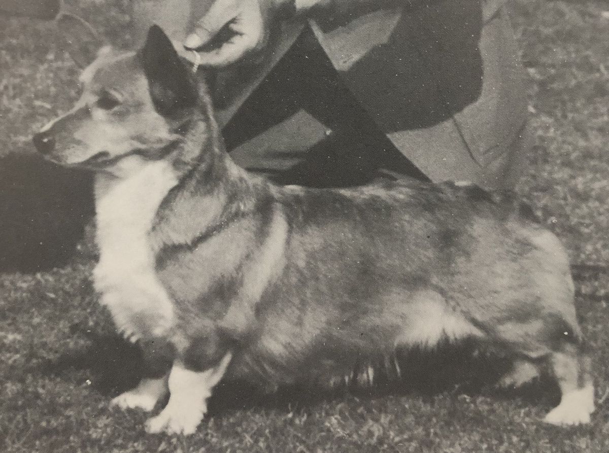 CH Bear Acres High Button Shoes