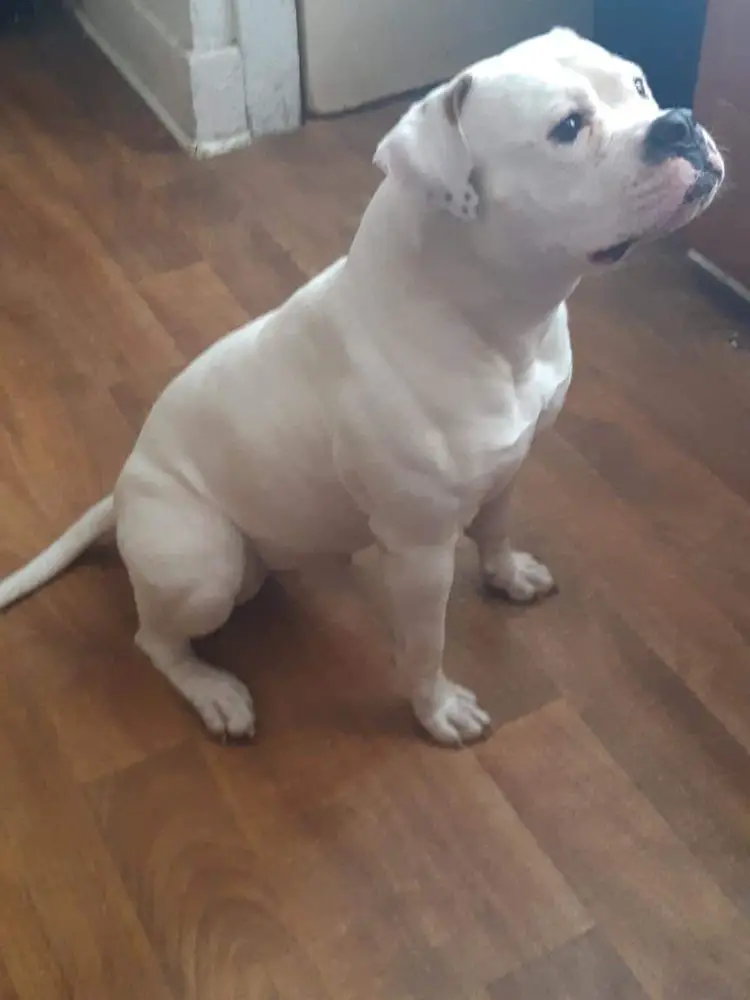 Tucker's Coco