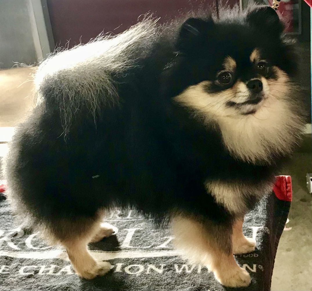 PARAGON'S SOMETHING TO TALK ABOUT