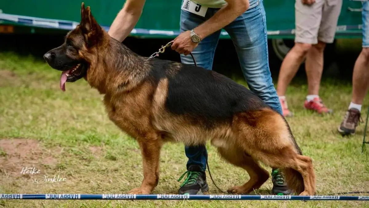 V Lasso vom Grafenbrunn