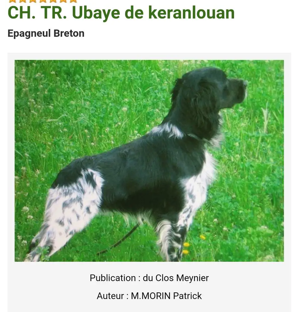 CH PR, TR UBAYE de Keranlouan