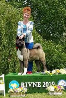 Taki'illareq Down Song Kattyval