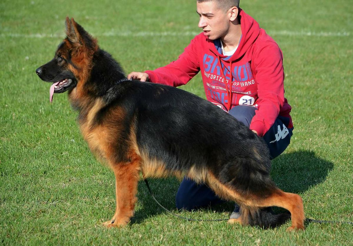 SG Atri De La Madonina