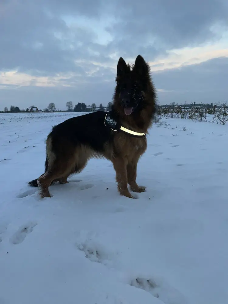 A-SCLAVINIA Trastamara UCI