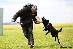 Kacka European K9 Training Base