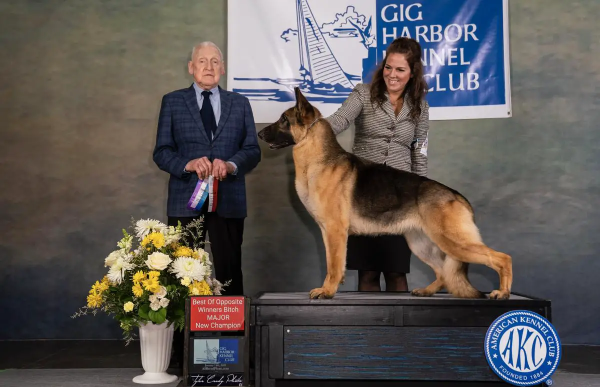 GCH Unbelievable Southern Sunrise