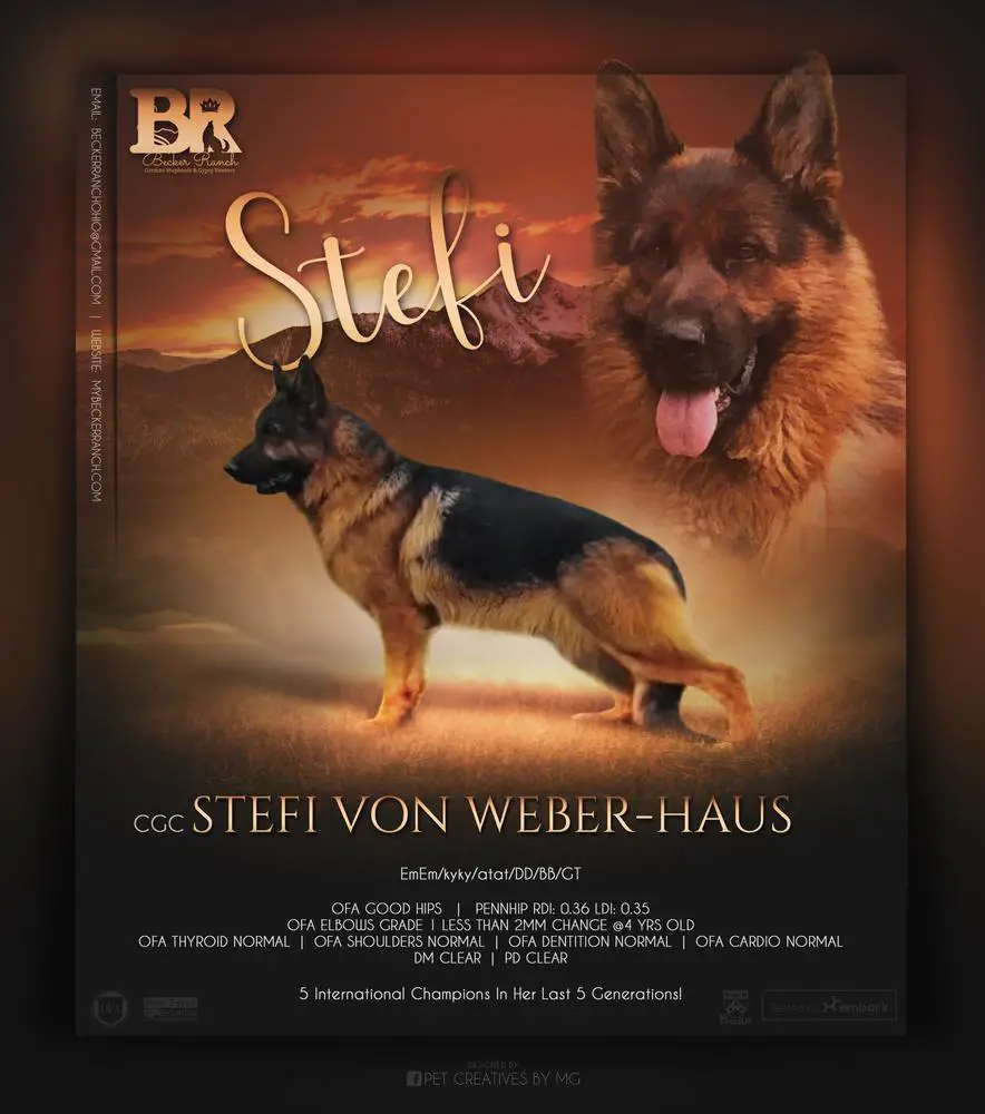 Stefi von Weber-Haus