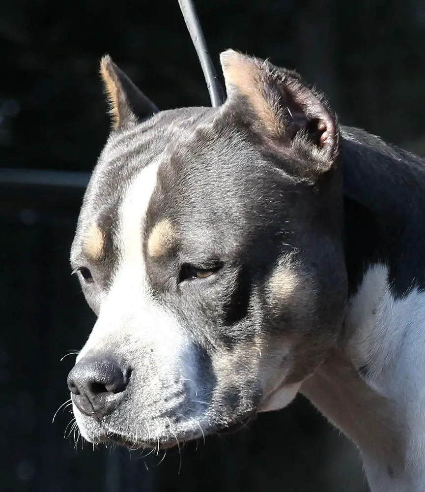 Malones Take My Breath Away