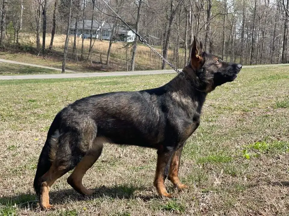 Pebblecreek's Playin for Keeps