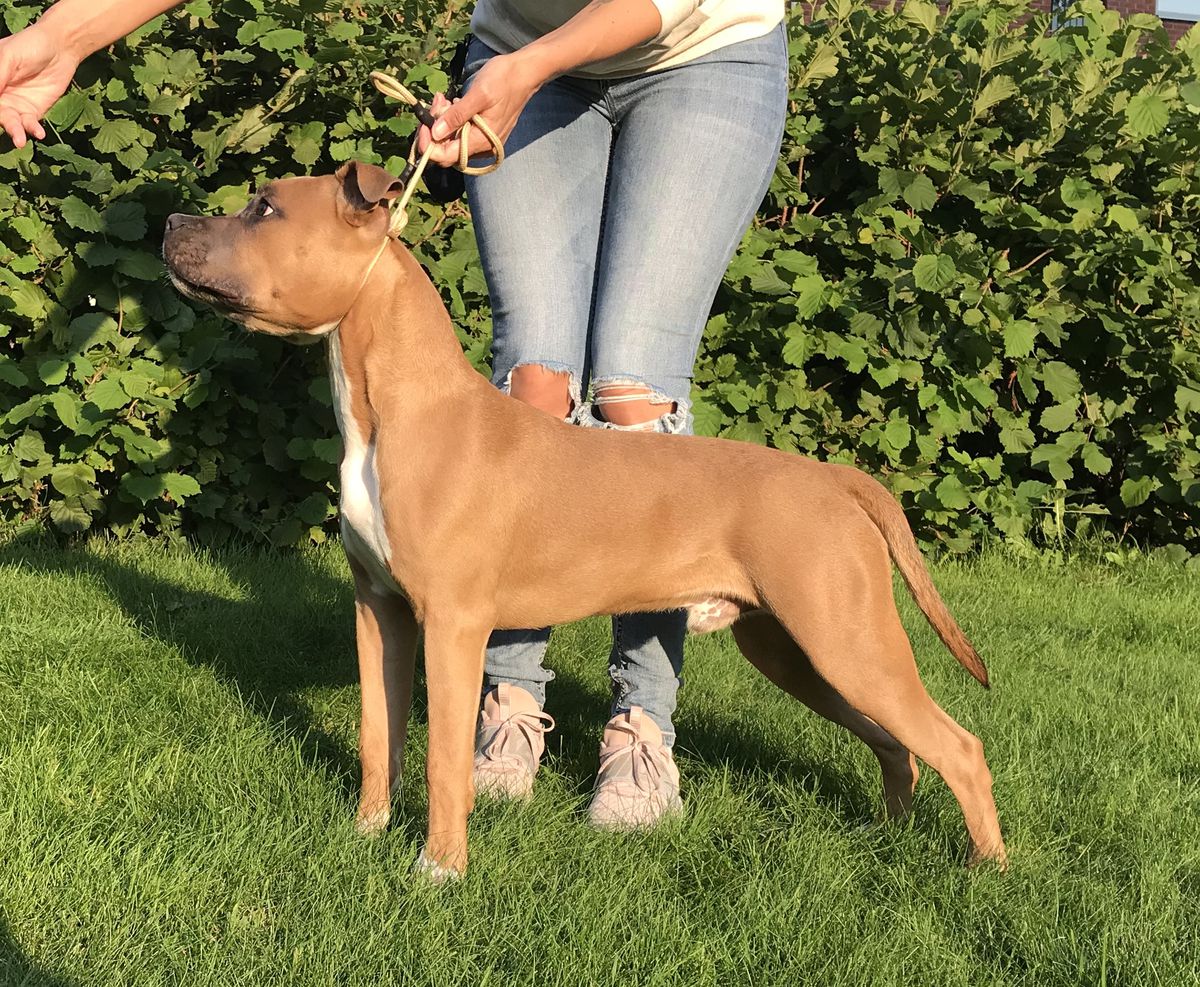 Bandit Queen Bringing Sexy Back