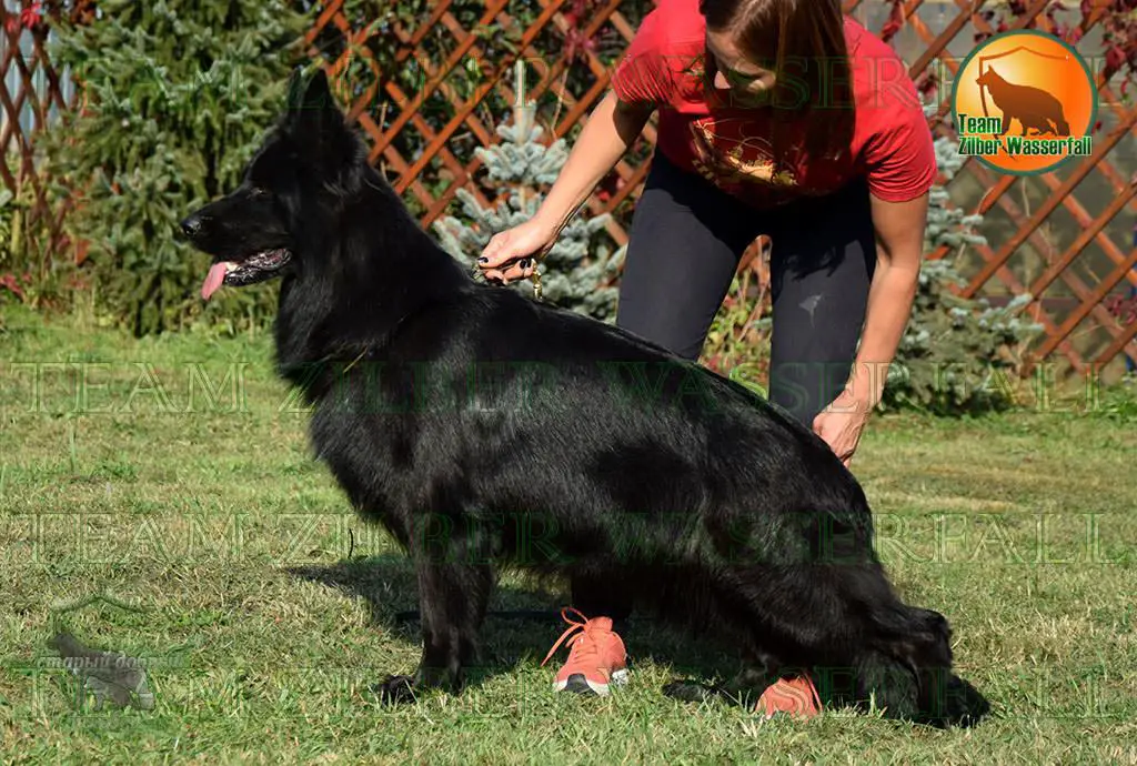 Team Zilber Wasserfall AKVA