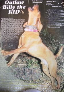 GRNITECH GRCH 'PR' Outlaw Billy The Kid