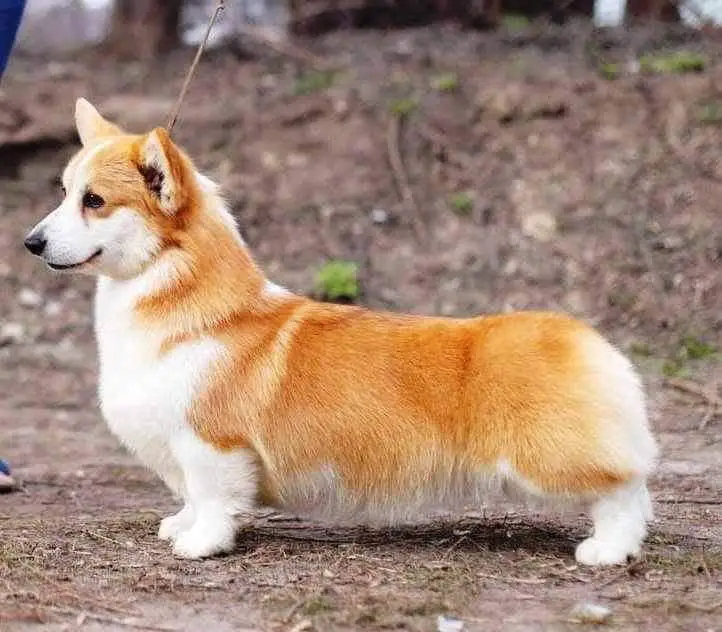 ANDVOL IN VINO VERITAS