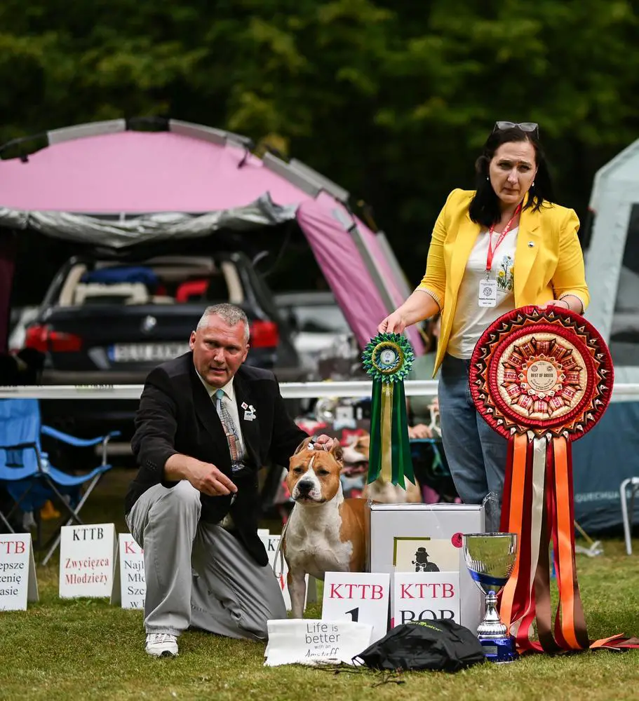 ICH (C.I.B.), GCH, CH, BIS, BISS, Winner Club 21',22',23' Alpine's Star Lord Pokerowy Zywot