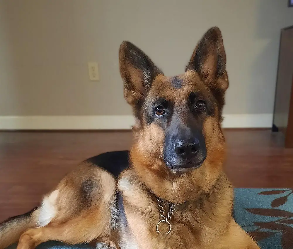 Aoife Khalheld Vom Crannog