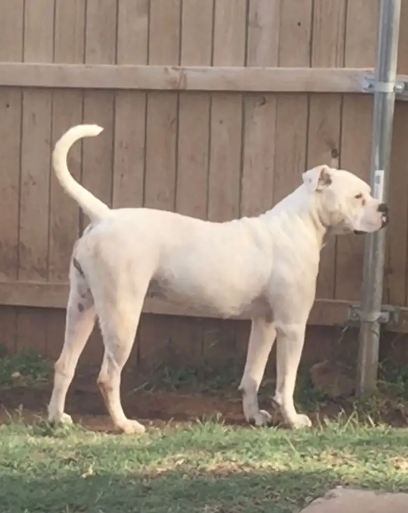 2NDWIND VALLENTINE OF IDK