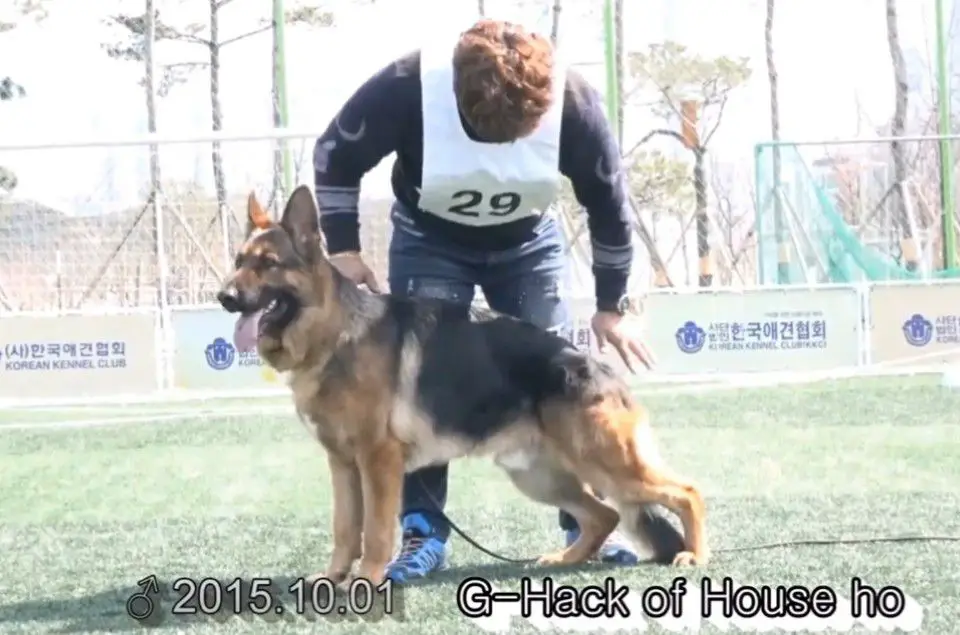 VA2 Korea G-Hack of House ho