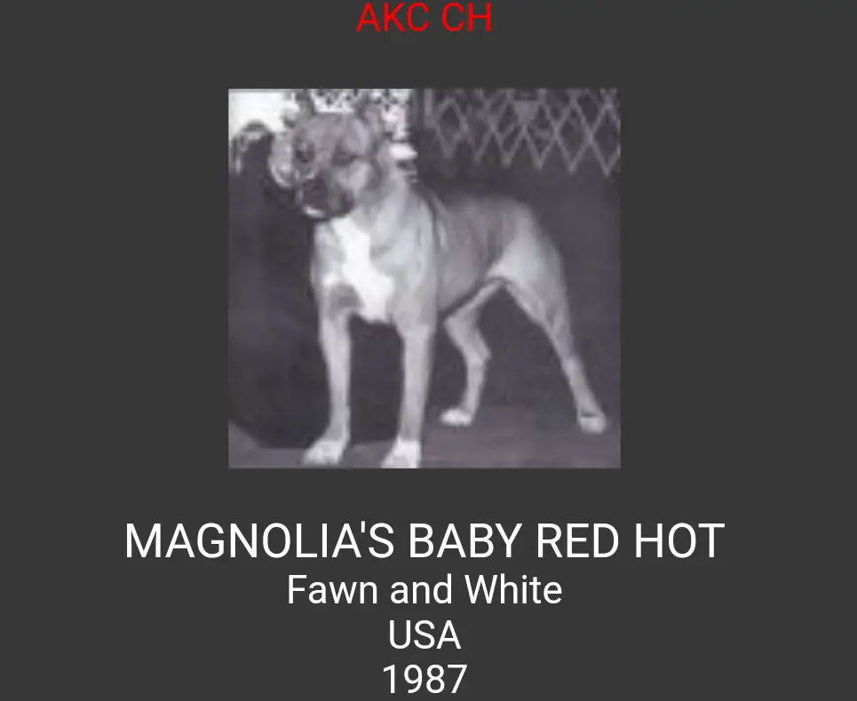 Magnolia's Baby Red Hot