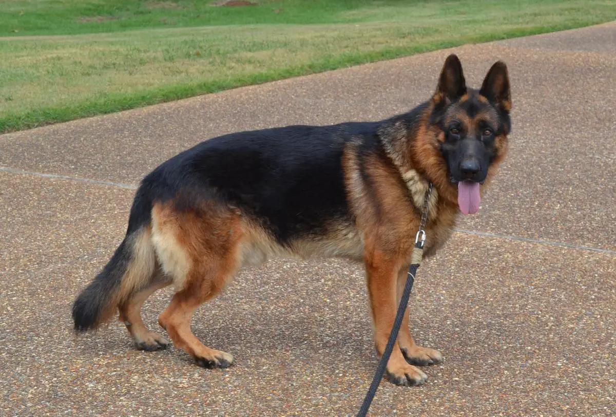 Kobe Von Vinson