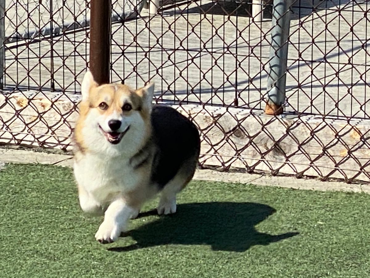 Joska Andrade Free Motion