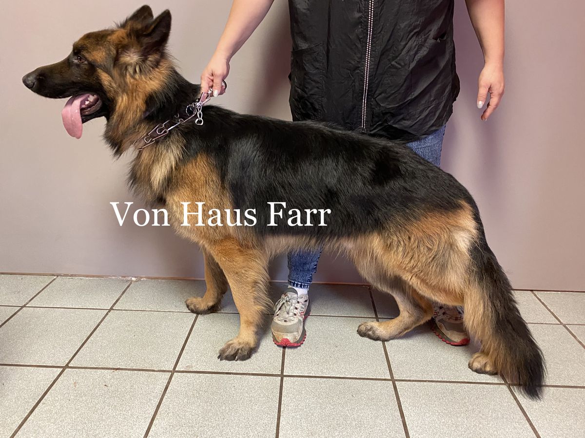 King Von Haus Farr