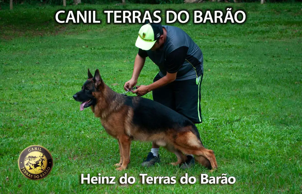 Heinz do Terras do Barão