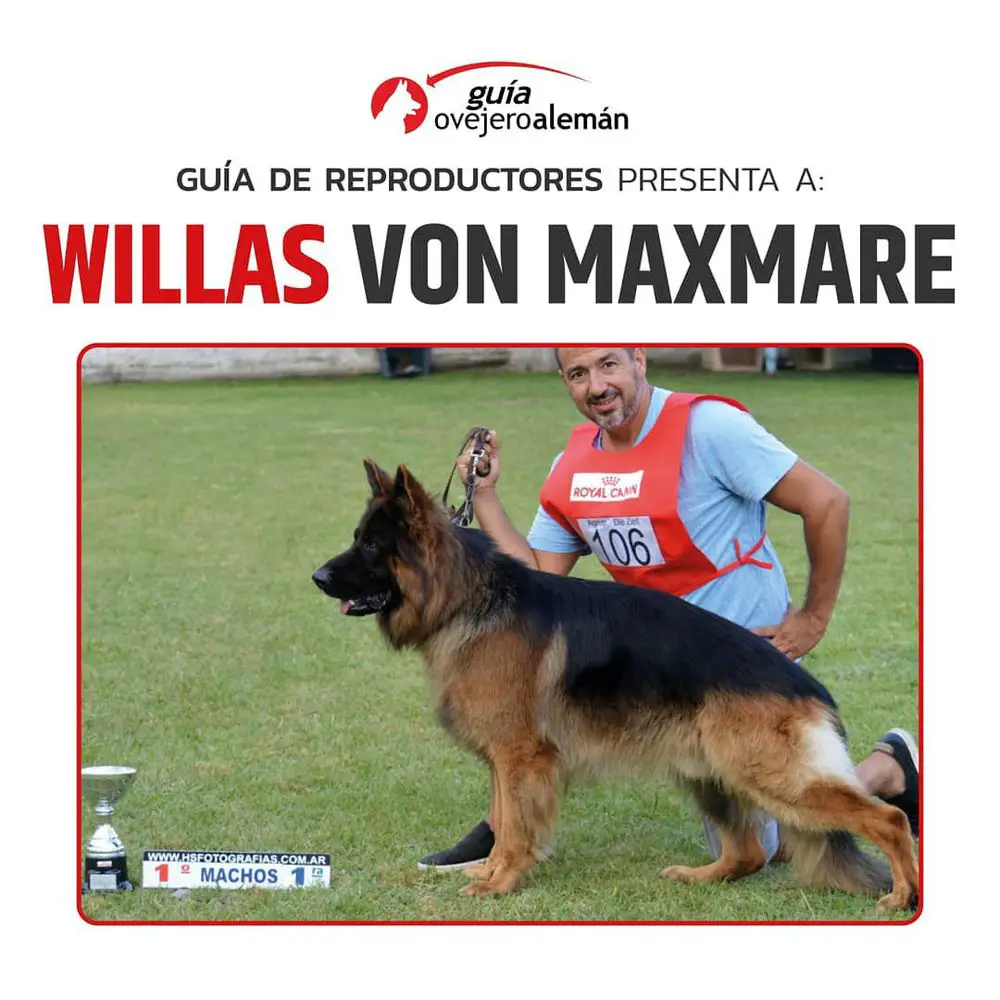 Willas Von Maxmare