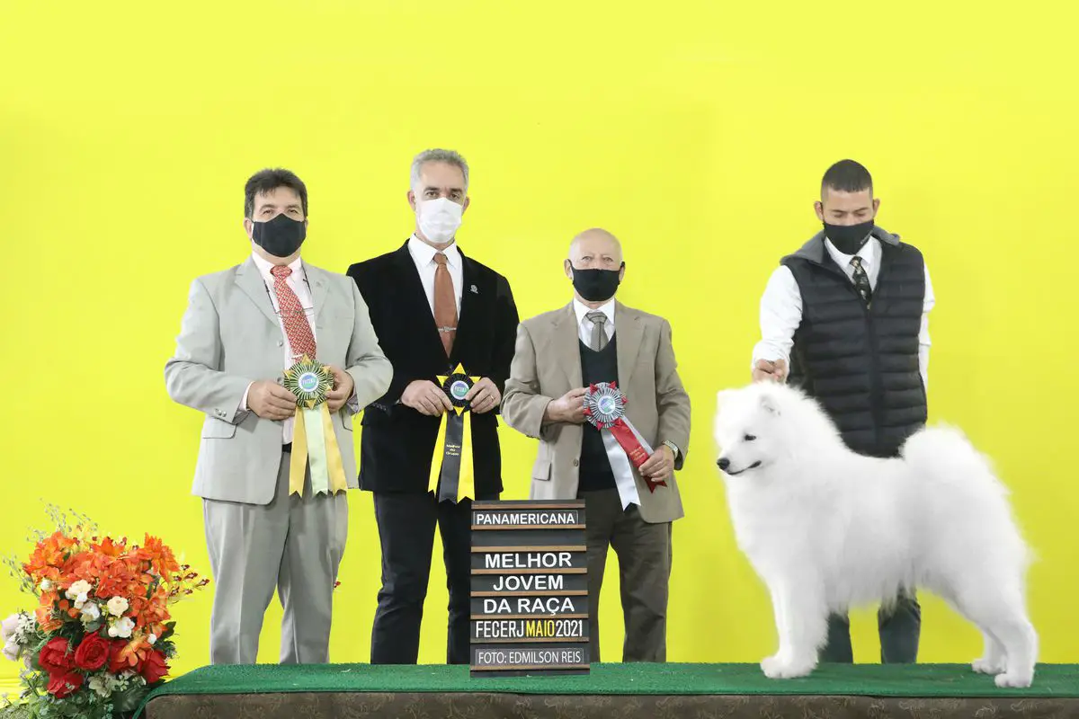 Jr CH YOSHI NORDIC'S KARIRI