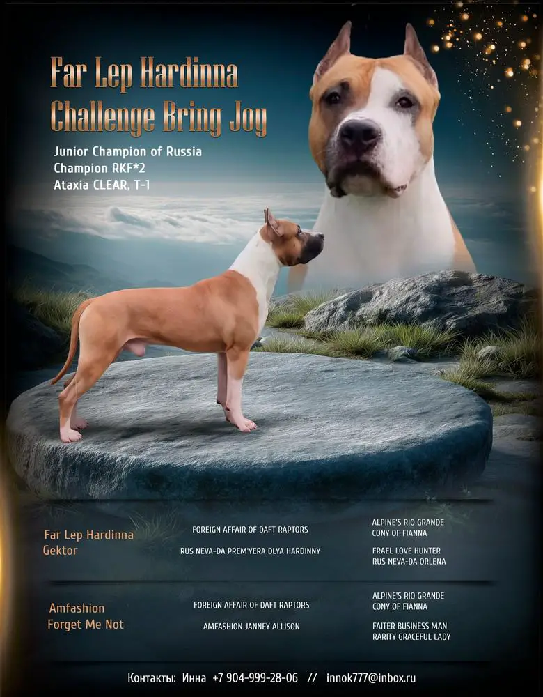 JCH.RUS 2CH.PKF. T1 Far Lеp Hardinna Challenge Bring Joy