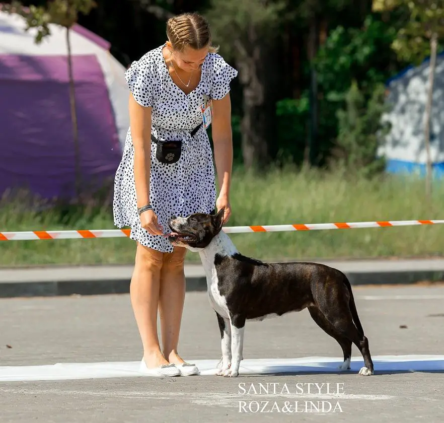 JCH.RUS, RKF, CH.RUS, RKF SANTA STYLE ROZA&LINDA