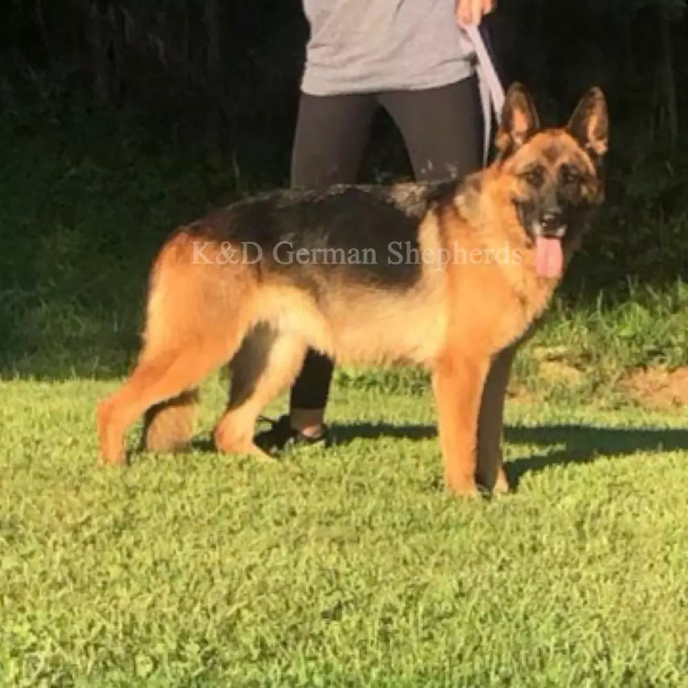 Bonnie’s Isa Von Perez