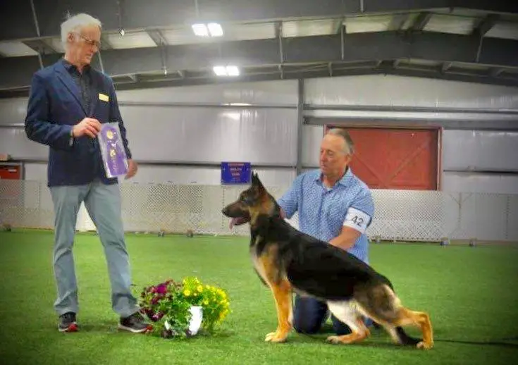 Champion Hickoryhills Electro-Cute v Laslar