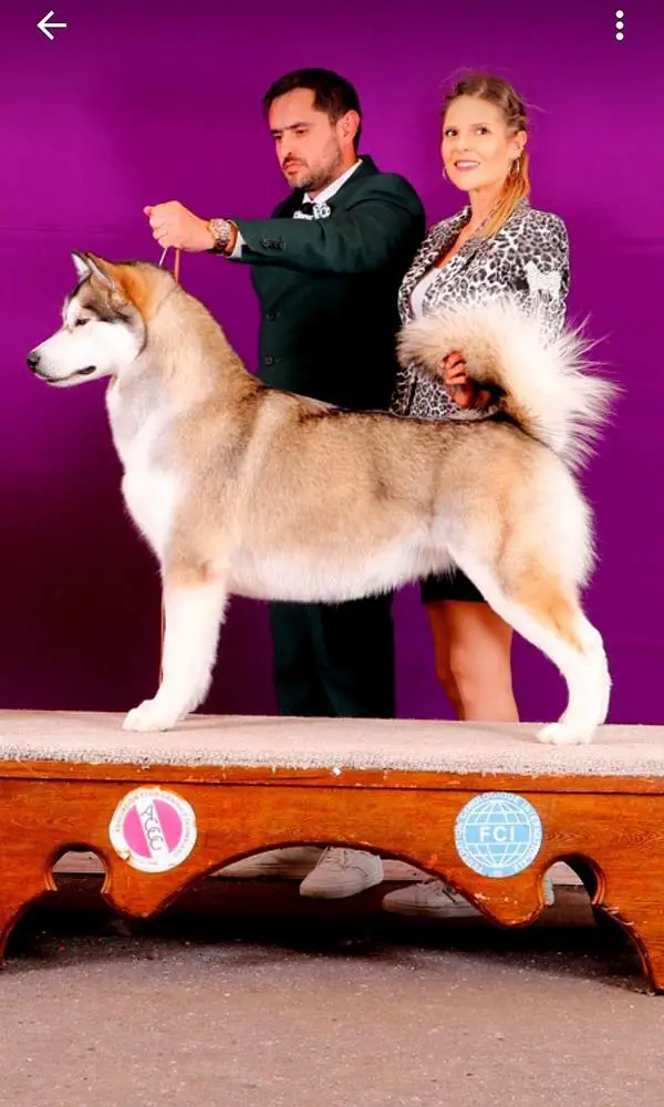 VAyC22VUncacen2022GrChJoSaChJoSalGrChJoCuzChJoCuzChJPanChJco Ladgerda del Manallay