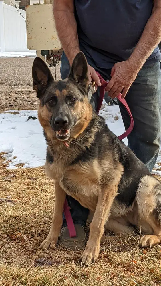 Happy Von Stahl Stadt