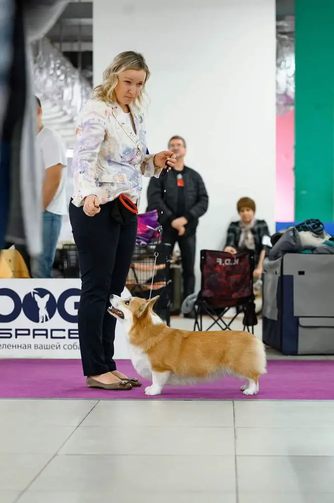 CH RUS CH RKF Ormai Rebelle Soul