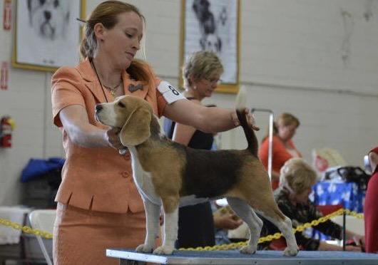 CH Just-Wright A Kidleativytoo