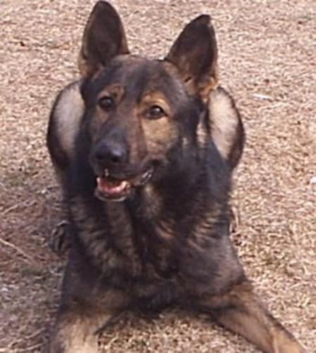 SG Cesh vom Michaelisweg