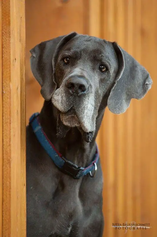 Helia Von Himmelkron