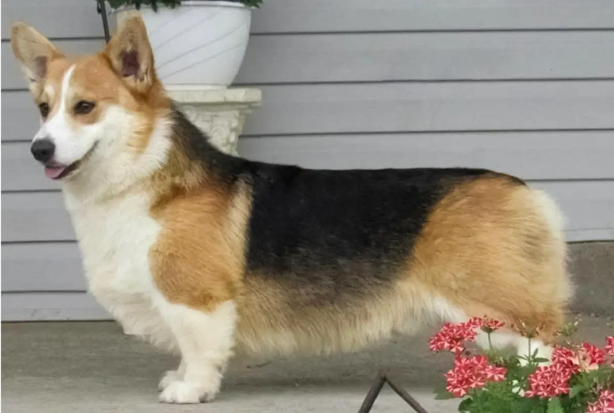 Genuwin’ly Noble Of NorthStar