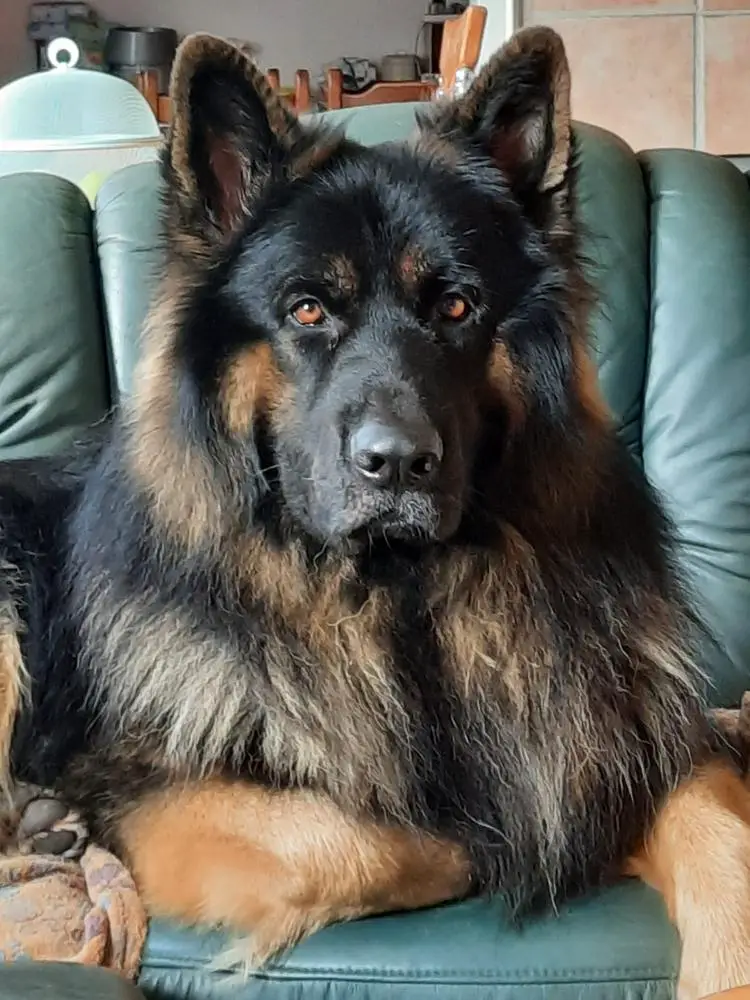 Eloy Ron vom Bachmannsgraben