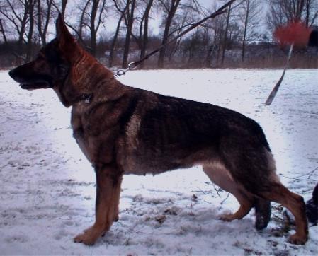 Quira vom Cap Arkona