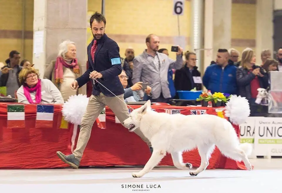 Ich bin yeti von king's silbertal