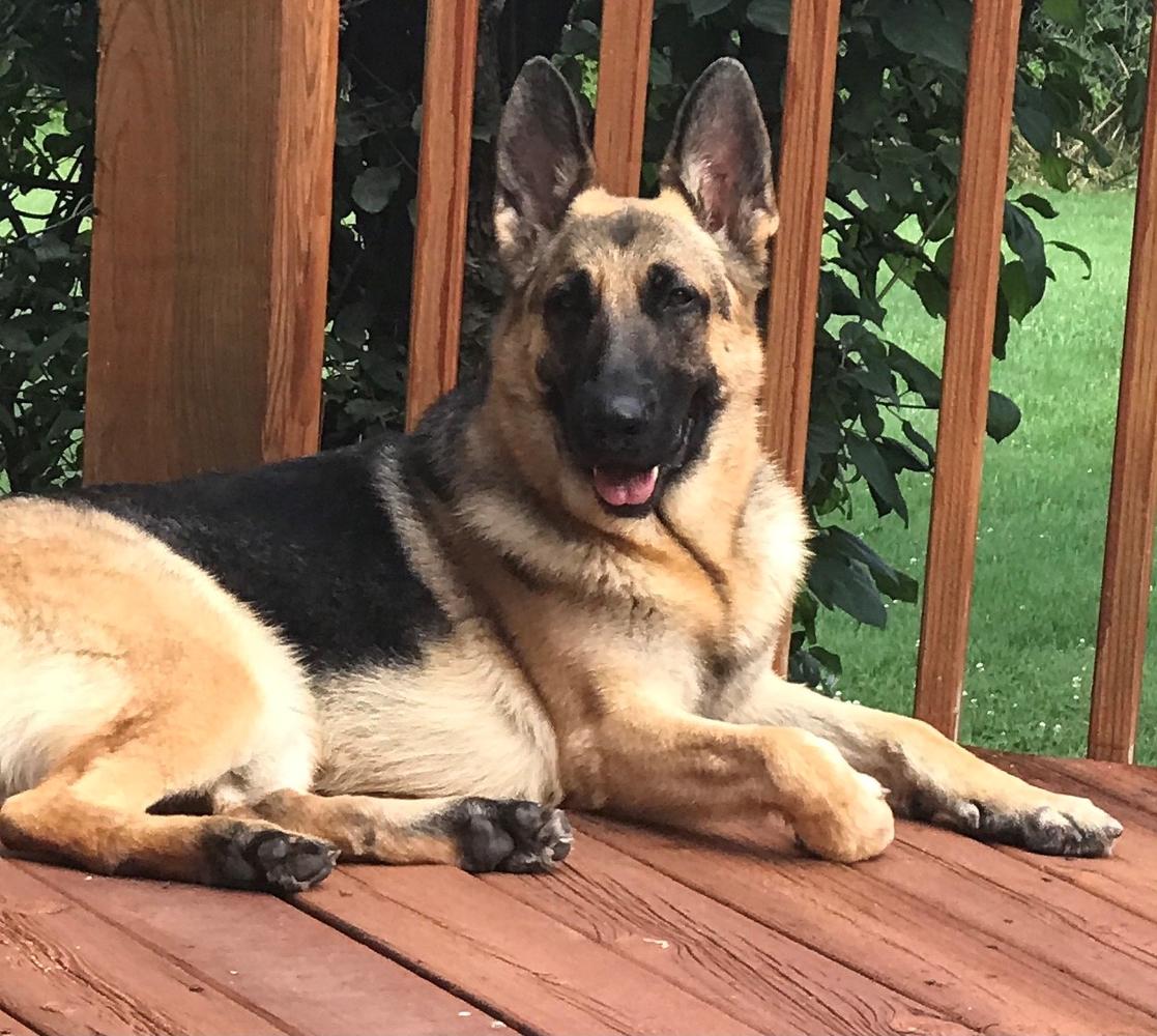 Tonor's Shayna Madel