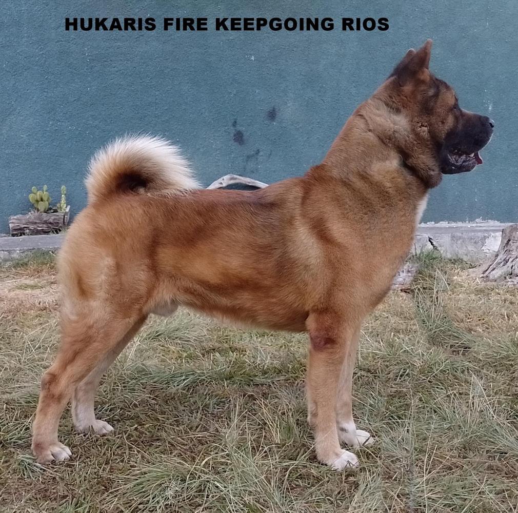 Hukaris Fyre Keep Going (Rios)