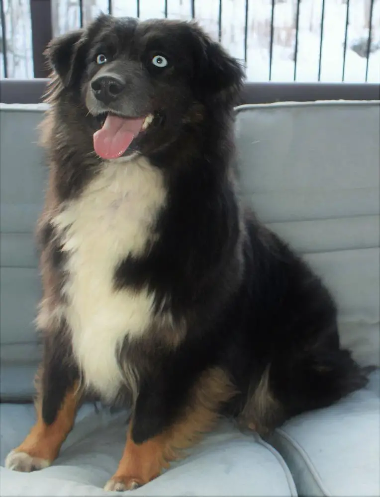 Sprout Creek Master Ruby’s Karma